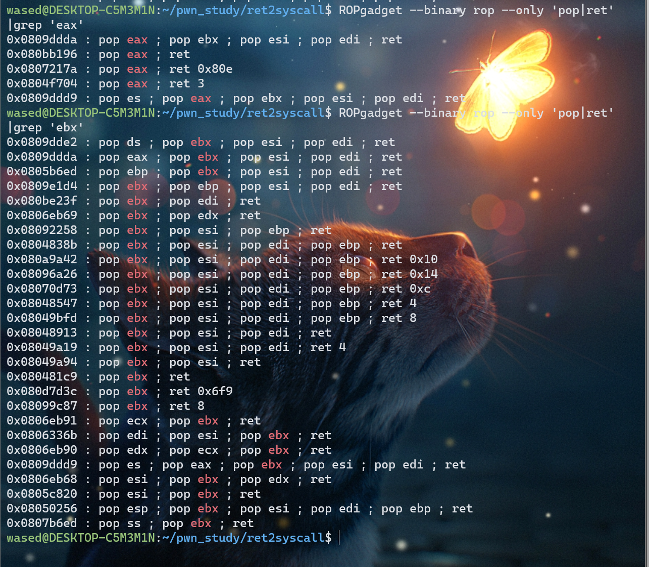 image-20230111230849214